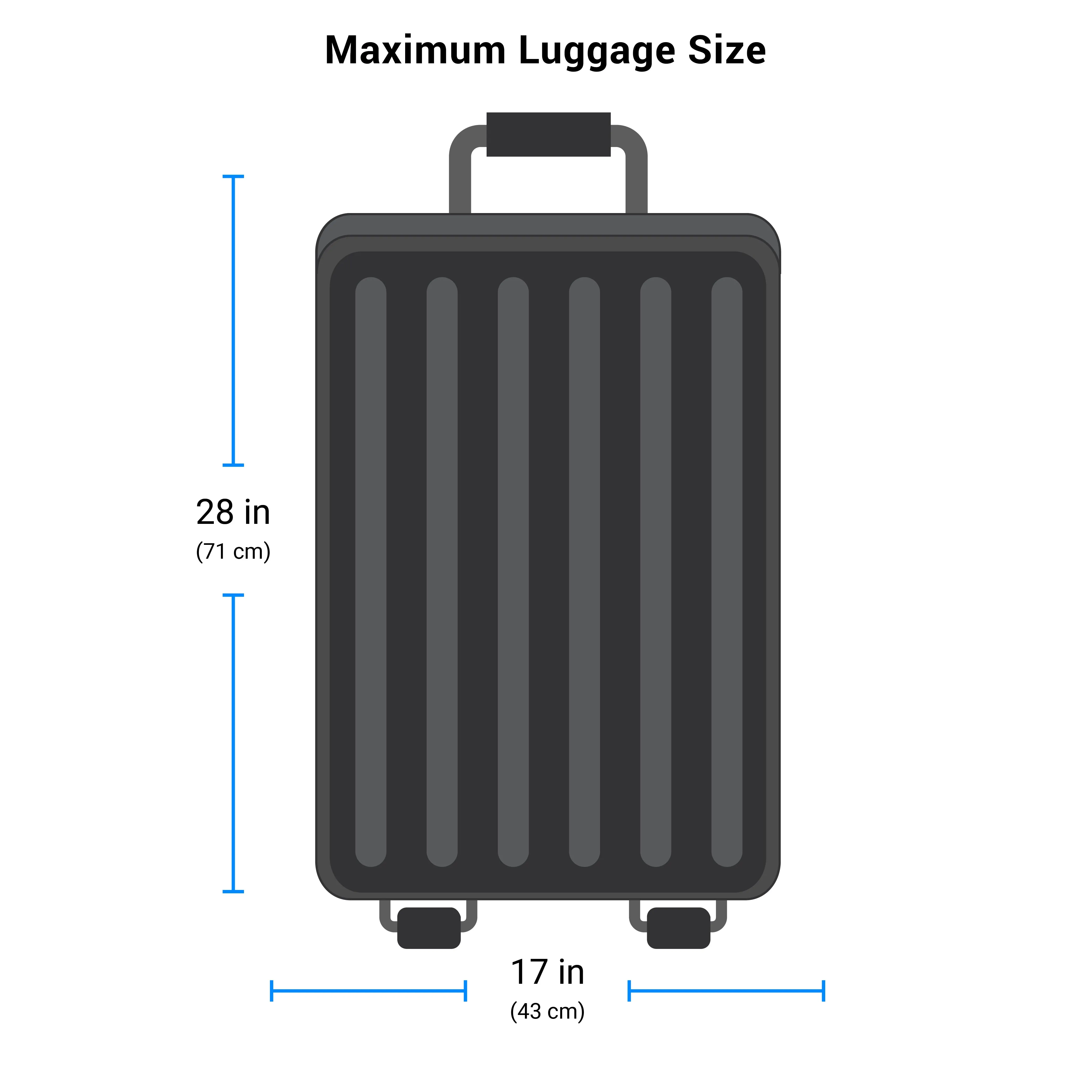Compression Packing Cube | Luggage