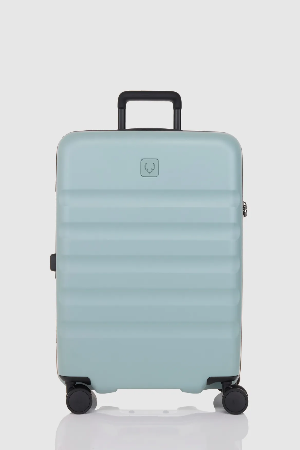 Icon Stripe 66cm Suitcase