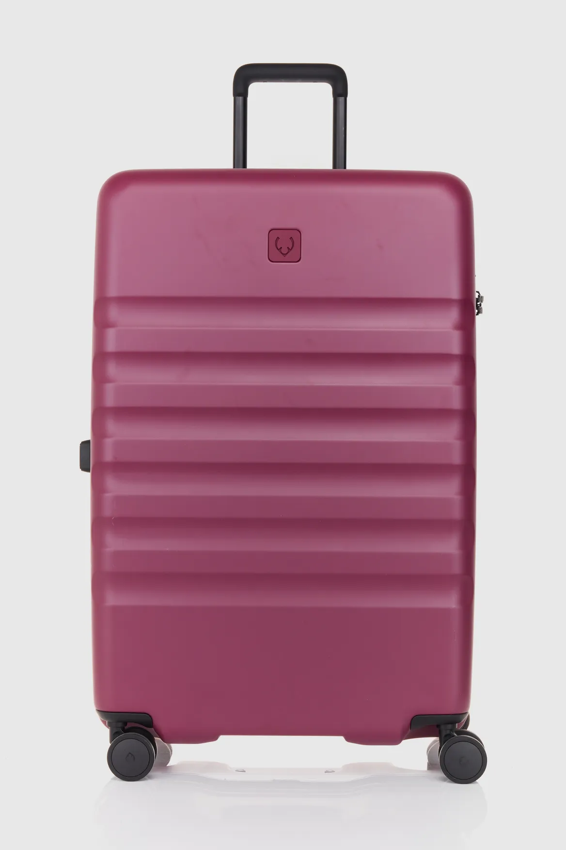 Icon Stripe 78cm Suitcase