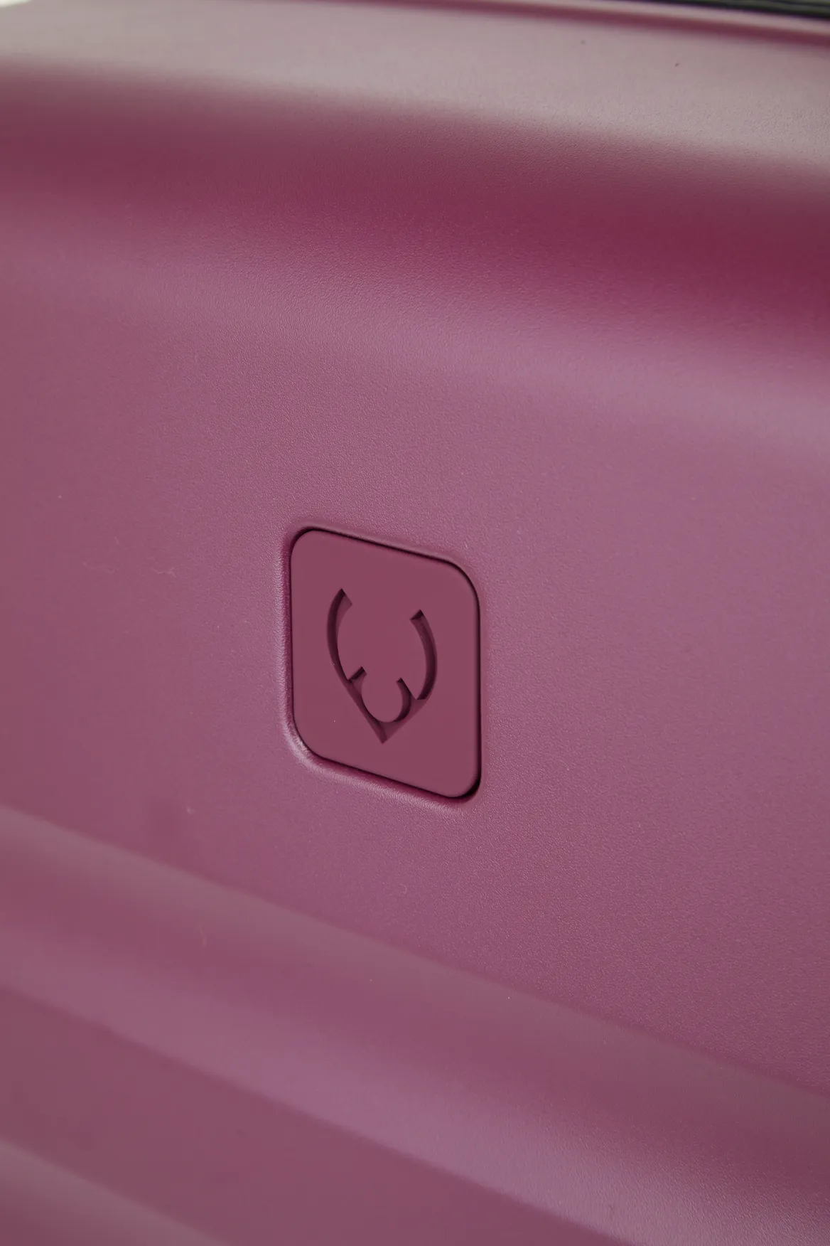 Icon Stripe 78cm Suitcase